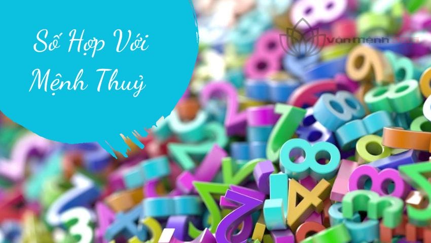 Tham Khảo Các Con Số Hợp Mệnh Thủy Theo Tuổi