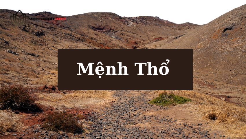 Tại sao nên lựa chọn màu xe theo phong thủy? 