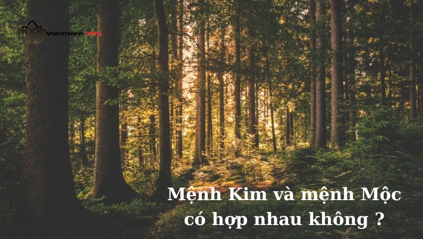 Mệnh Kim và mệnh Mộc có hợp nhau không ?