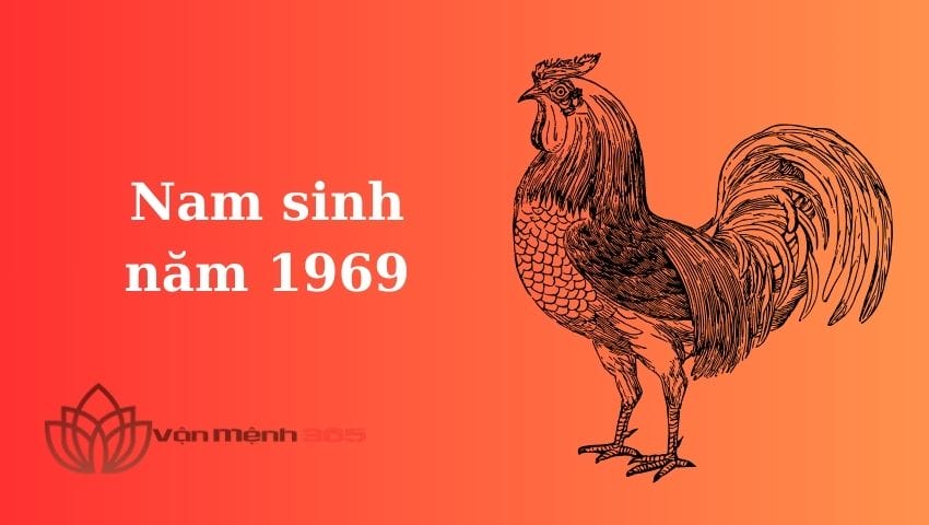 Nam Sinh Năm 1969 Mệnh Gì Hợp Màu Gì?