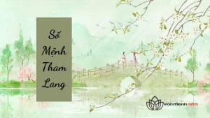 Số Mệnh Tham Lang Là Gì? Luận Giải Chính Xác Và Chi Tiết