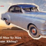 Mệnh Thổ Mua Xe Màu Xám Được Không