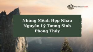 Những Mệnh Hợp Nhau