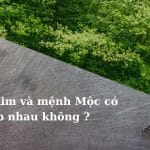 Giải Đáp: Mệnh Kim Và Mệnh Mộc Có Hợp Nhau Không?