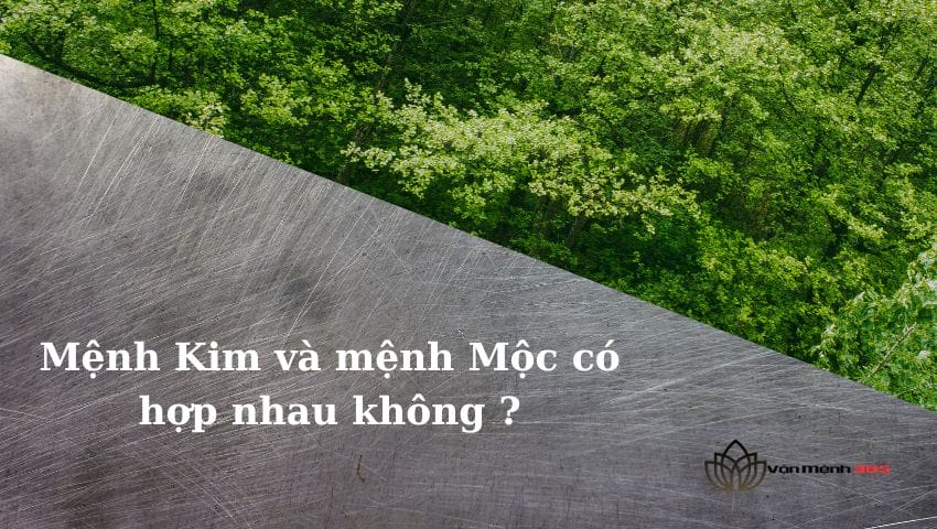 Giải Đáp: Mệnh Kim Và Mệnh Mộc Có Hợp Nhau Không?