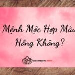 Mệnh Mộc Hợp Màu Hồng Không?