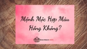 Mệnh Mộc Hợp Màu Hồng Không?